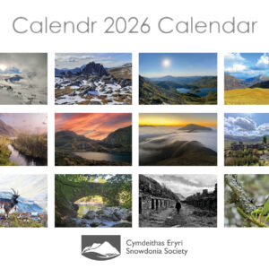 2026 Calendar