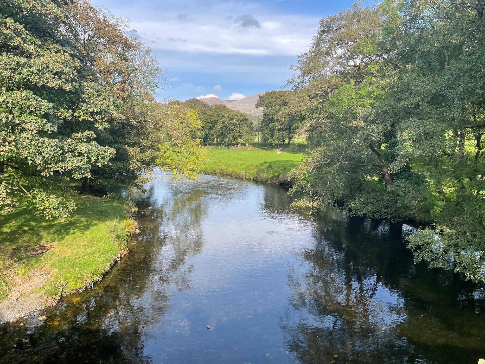 Rivers at Risk: Ask the Welsh Government to act!